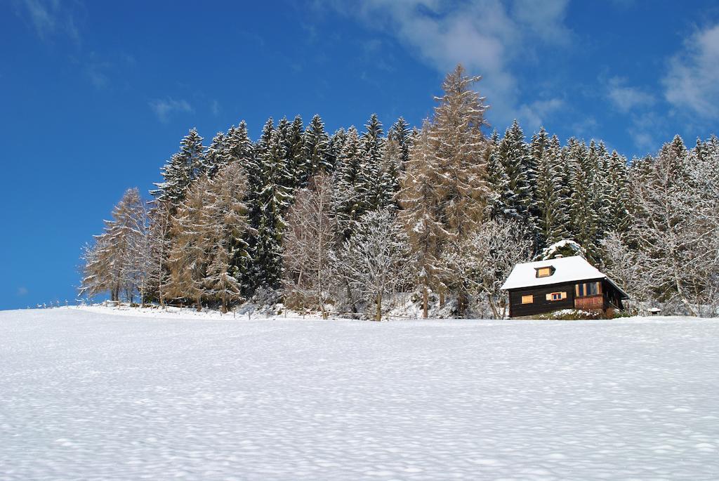 Schlintl-Hof Villa Liebenfels Стая снимка