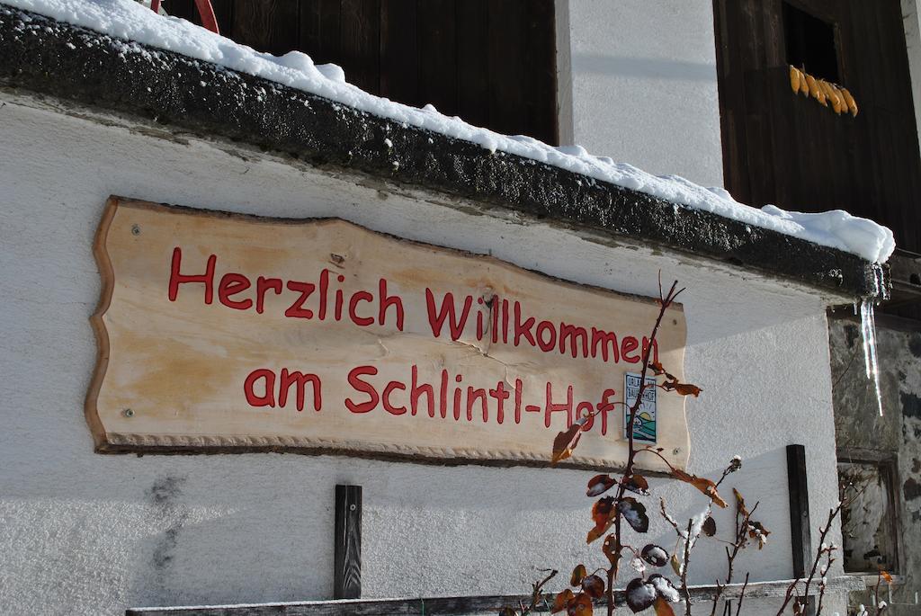 Schlintl-Hof Villa Liebenfels Екстериор снимка