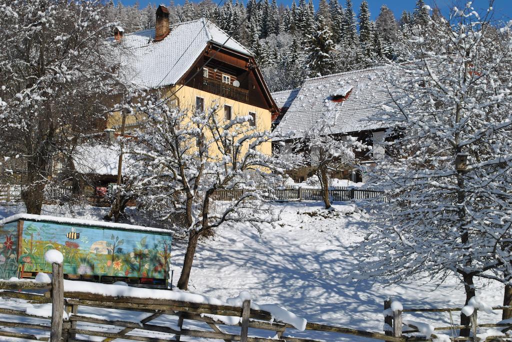 Schlintl-Hof Villa Liebenfels Екстериор снимка