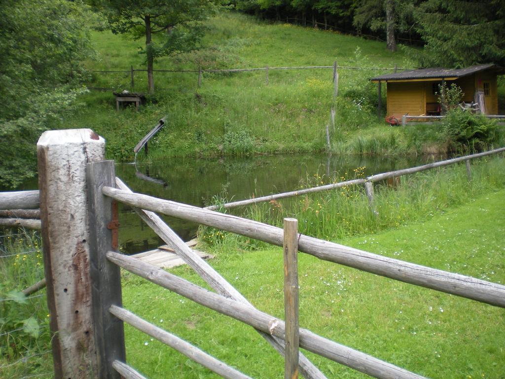 Schlintl-Hof Villa Liebenfels Екстериор снимка