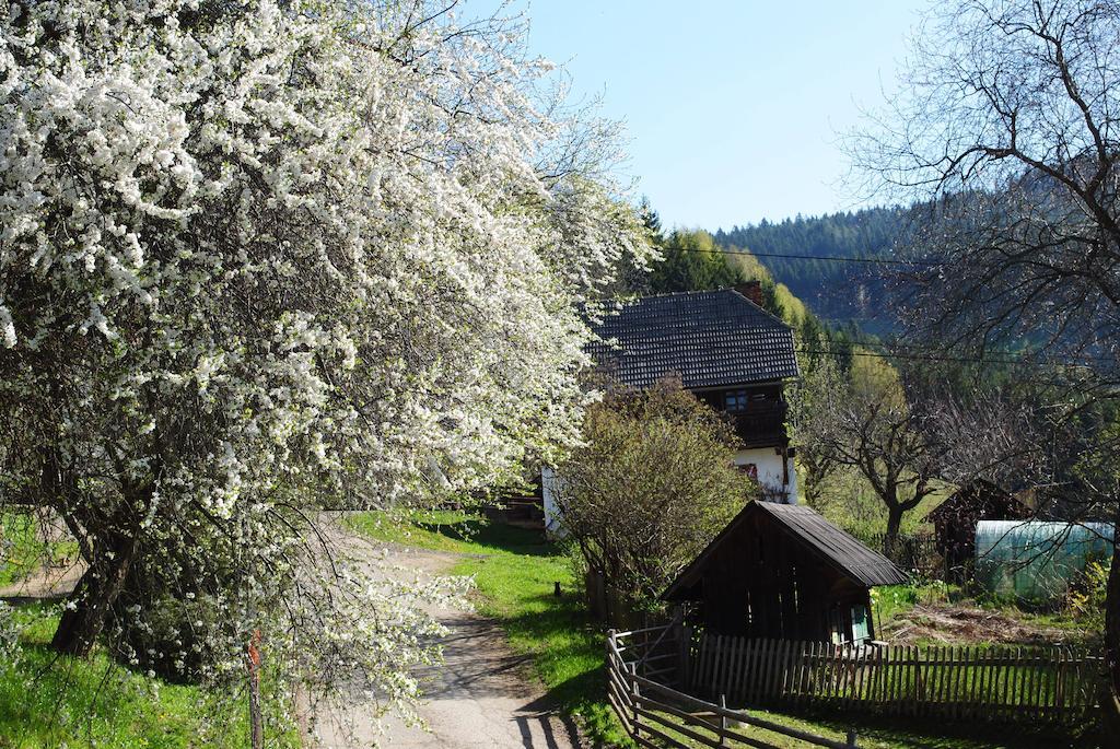 Schlintl-Hof Villa Liebenfels Екстериор снимка