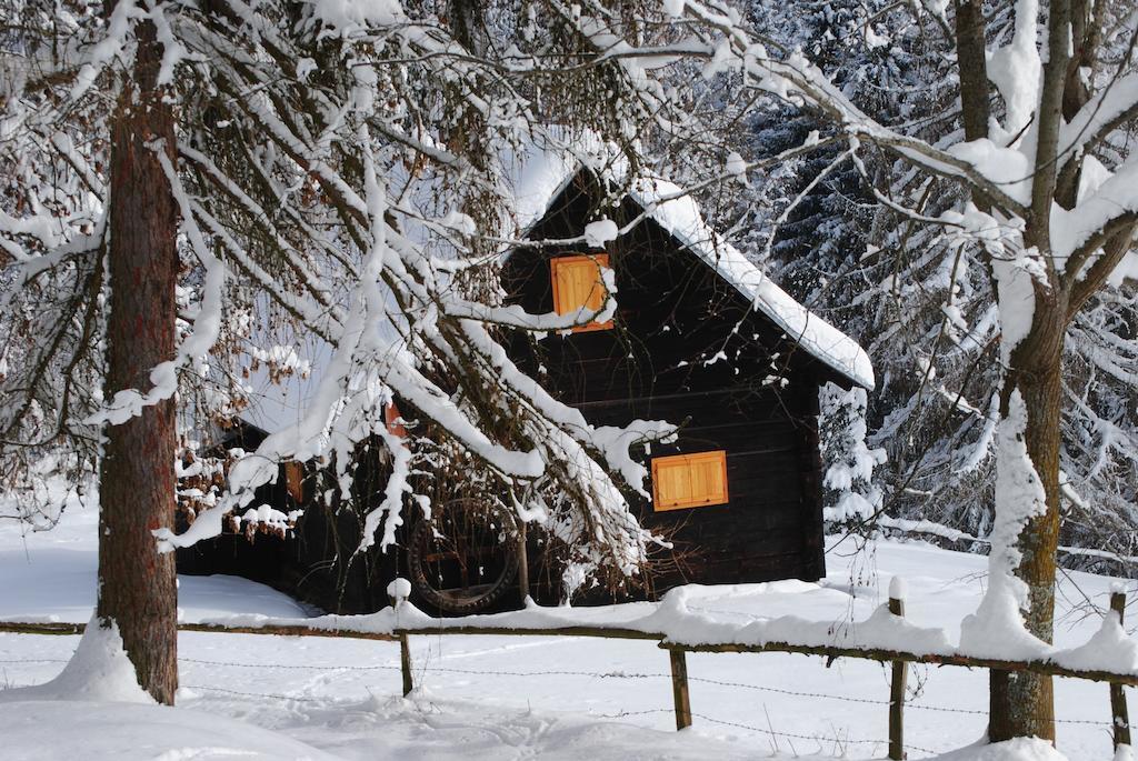 Schlintl-Hof Villa Liebenfels Екстериор снимка