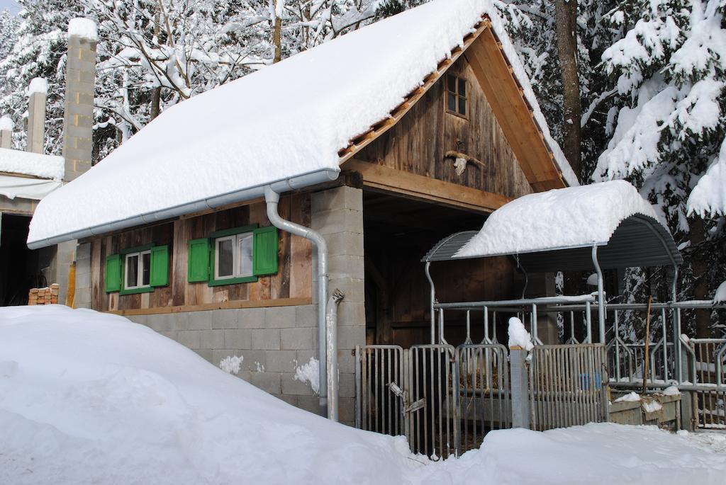 Schlintl-Hof Villa Liebenfels Екстериор снимка